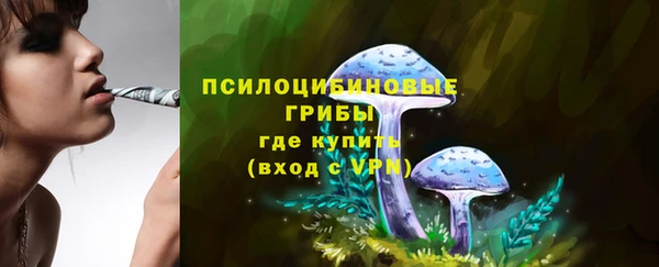 MDMA Premium VHQ Алзамай
