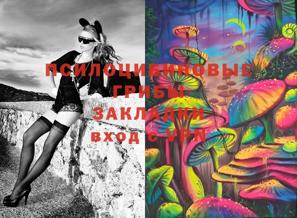 крисы Армянск