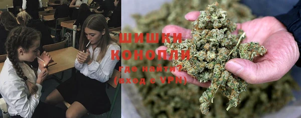 винт Аркадак